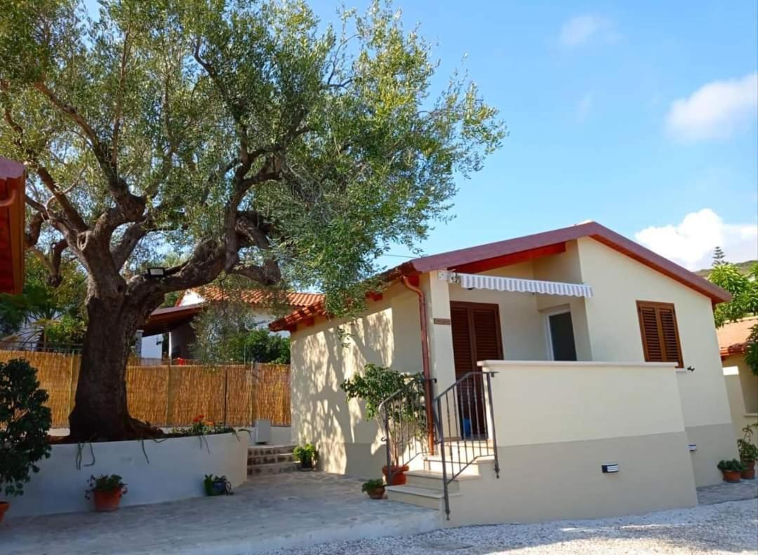 Case Vacanze La Quercia Marina di Camerota Exteriör bild