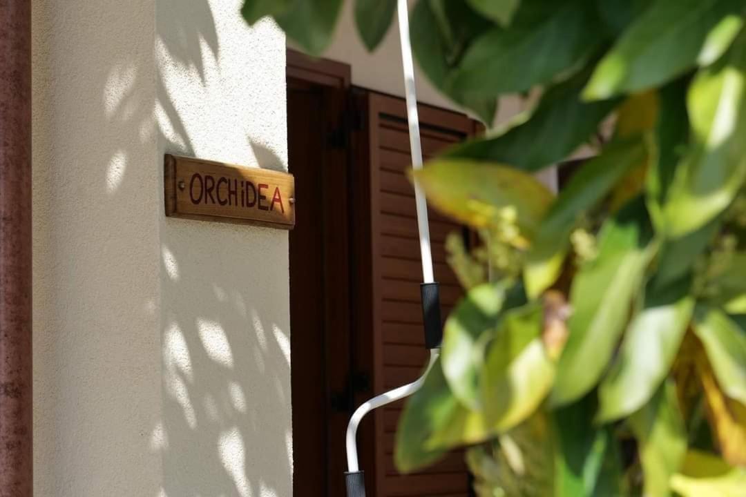 Case Vacanze La Quercia Marina di Camerota Exteriör bild