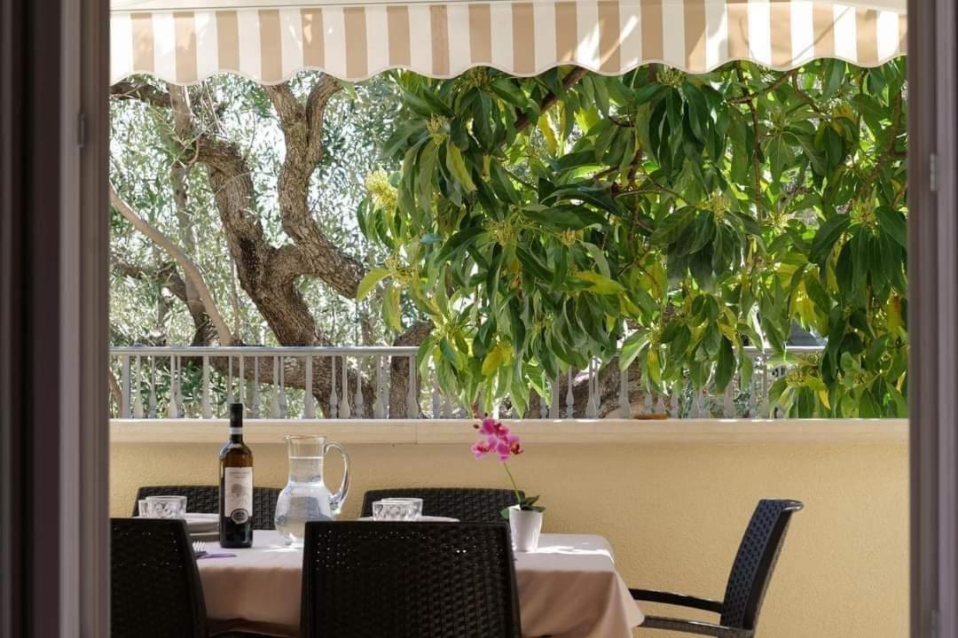 Case Vacanze La Quercia Marina di Camerota Exteriör bild